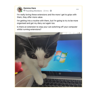 Customer Review 3